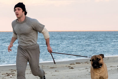 I Play Rocky (2026) Poster