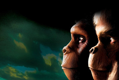 Planet of the Apes (1968) Poster