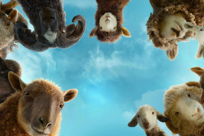 The Sheep Detectives (2026) Poster