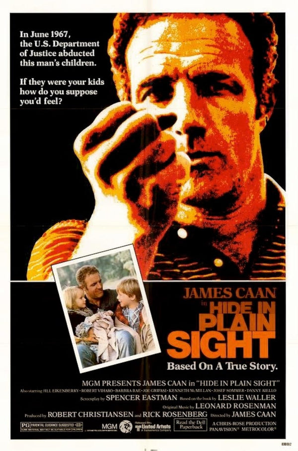 Hide In Plain Sight (1980) - Powerful Drama Poster Movie Poster | Film Wall Art Print