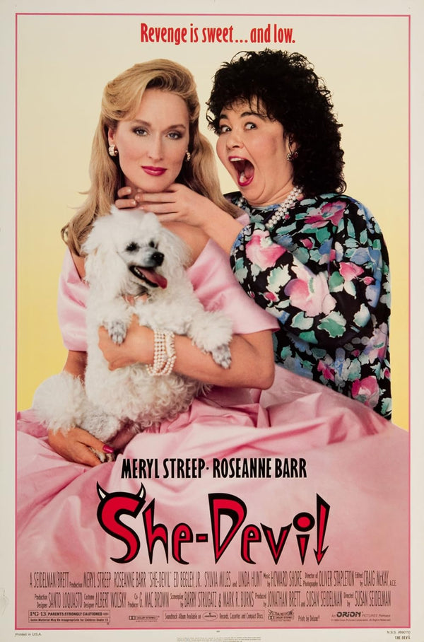 She-Devil (1989) Comedy Movie Poster – Classic Satire Movie Poster | Film Wall Art Print