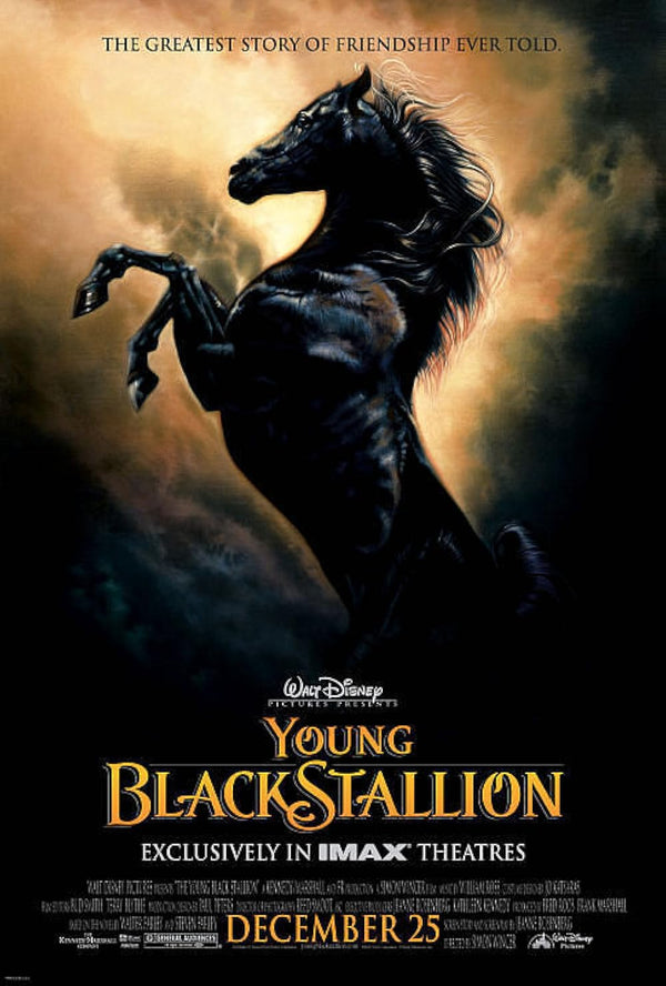 Young Black Stallion (2003) Movie Poster – Adventure, Drama, Family Movie Poster | Film Wall Art Print