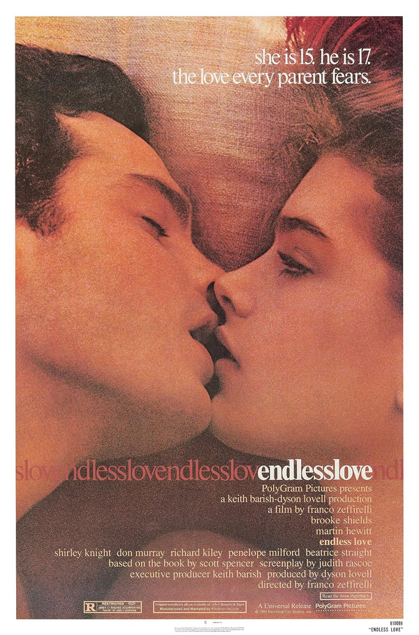 Endless Love (1981) - Romantic Drama Movie Poster Movie Poster | Film Wall Art Print