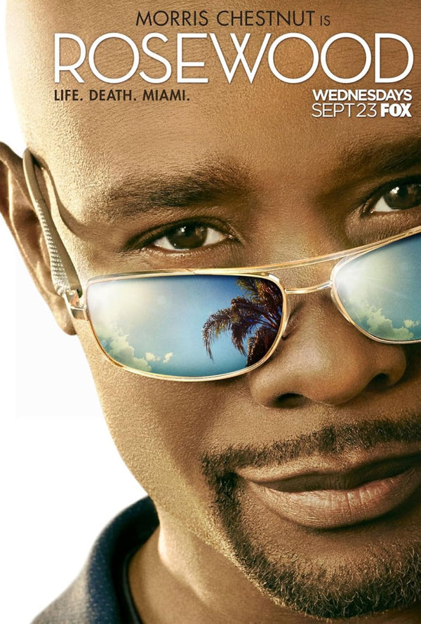 Rosewood TV Series: Crime, Drama, Mystery Thriller Poster Movie Poster | Film Wall Art Print