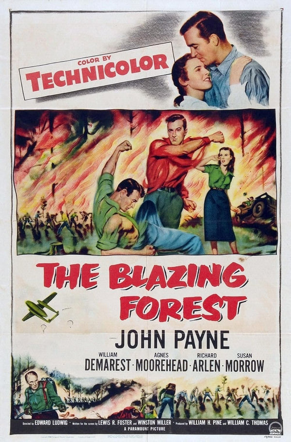 Blazing Forest (1952) - Action Adventure Mystery Classic Movie Poster Movie Poster | Film Wall Art Print