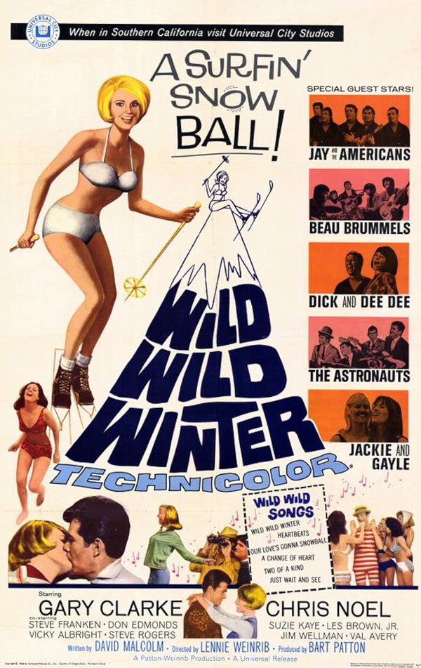 Wild Wild Winter (1966) - Classic Comedy, Music & Romance Movie Poster Movie Poster | Film Wall Art Print