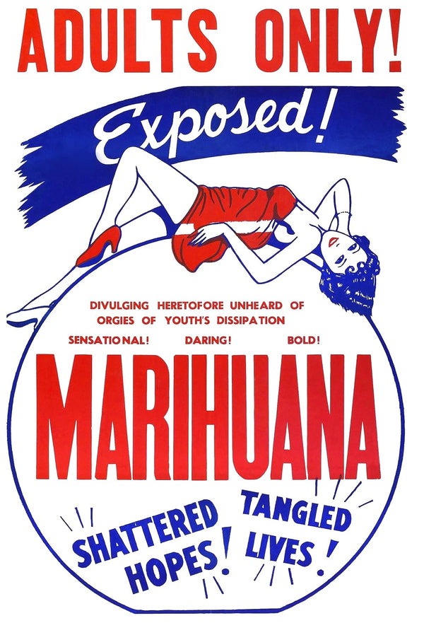 Marihuana (1936) – Crime Drama Film | Watch Online Movie Poster | Film Wall Art Print