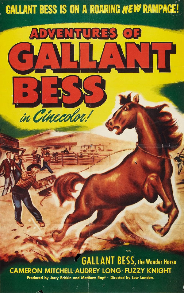 Adventures Of Gallant Bess (1948) – Drama, Romance, Western Classic Film Movie Poster | Film Wall Art Print