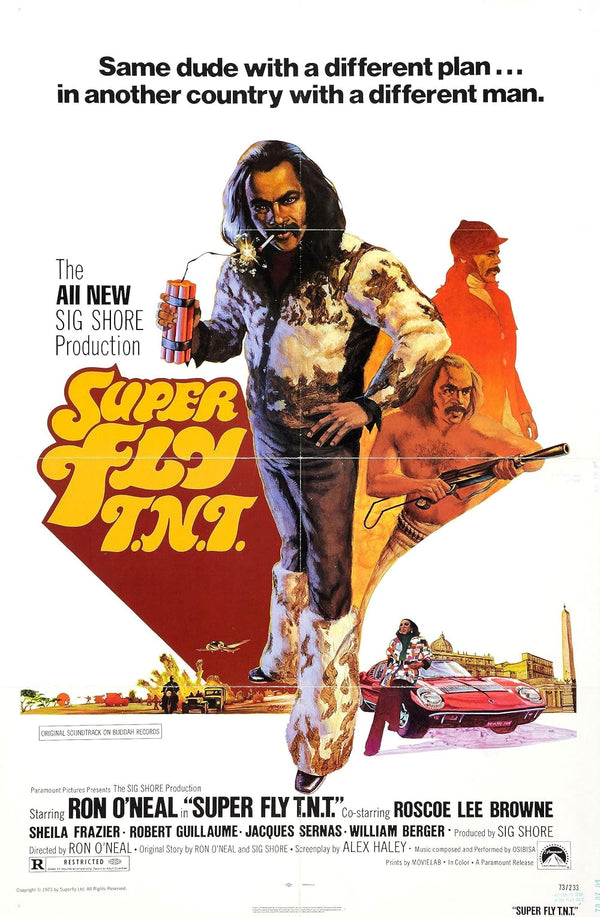 Super Fly TNT (1973) Movie Poster - High Quality Print Movie Poster | Film Wall Art Print
