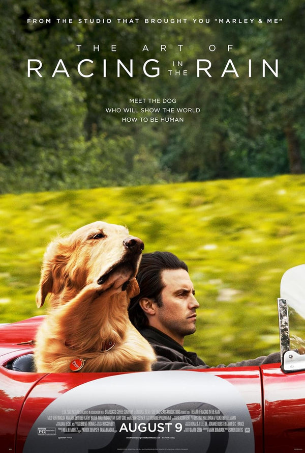 Art of Racing in the Rain (2019) - Comedy, Drama, Romance Movie Poster Movie Poster | Film Wall Art Print