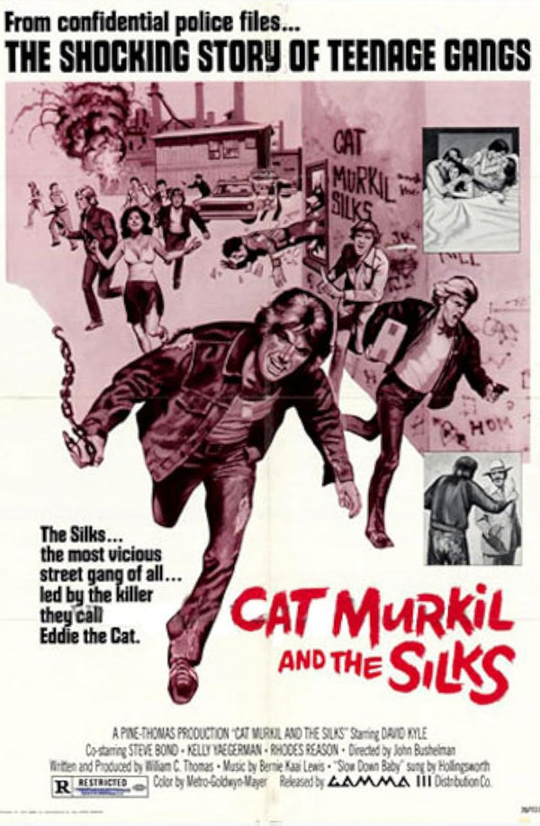 Cat Murkil and the Silks (1976) - Crime Drama Poster Movie Poster | Film Wall Art Print