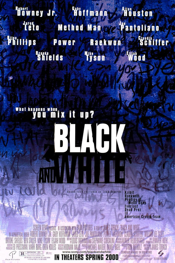 Black and White (1999) Movie Poster – Crime, Drama, Music Movie Poster | Film Wall Art Print