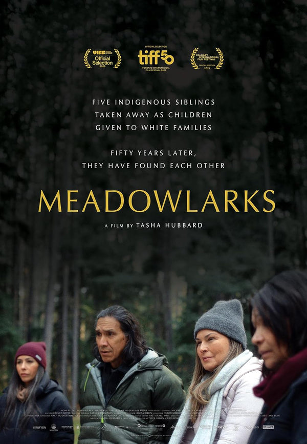 Meadowlarks (2025) - Award-Winning Heartwarming Drama Film Movie Poster | Film Wall Art Print