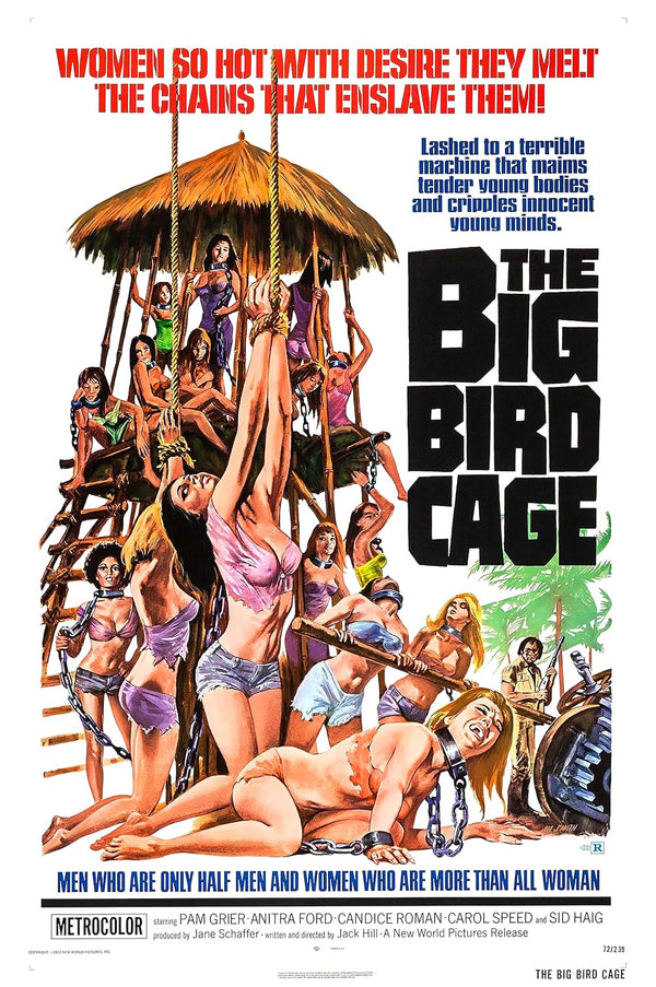 Big Bird Cage (1972) - Action Crime Drama Movie Poster Movie Poster | Film Wall Art Print