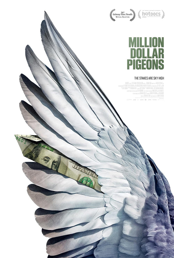 Million Dollar Pigeons 2022 Documentary: Uncover Hidden Treasures Movie Poster | Film Wall Art Print
