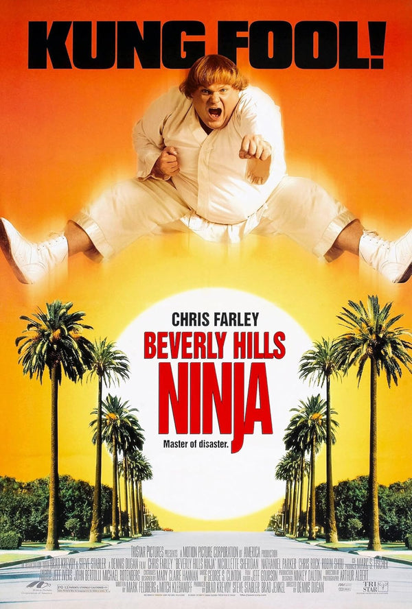 Beverly Hills Ninja (1997) Action Comedy Movie Movie Poster | Film Wall Art Print