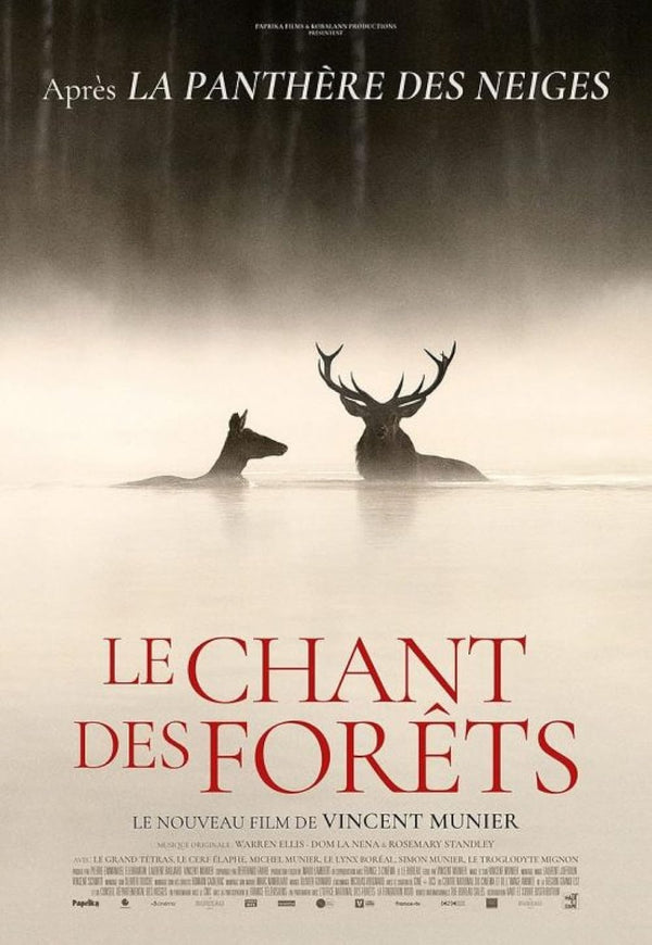 Le Chant des forêts (2025) – A Symphony of Forests Documentary - Premium Movie Poster