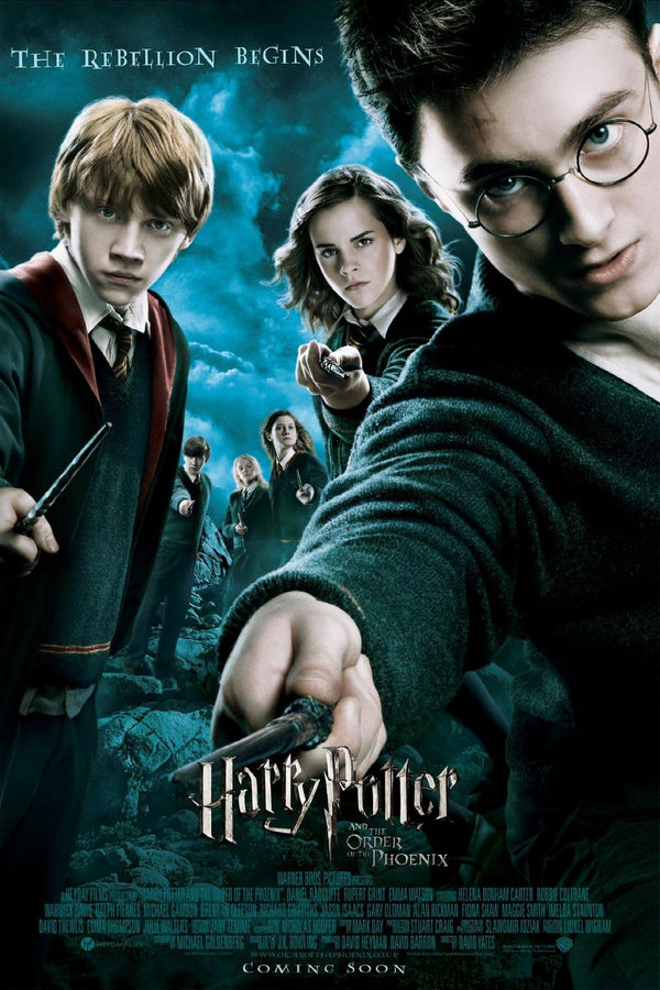 Harry Potter and the Order of the Phoenix Movie Poster Movie Poster | Film Wall Art Print