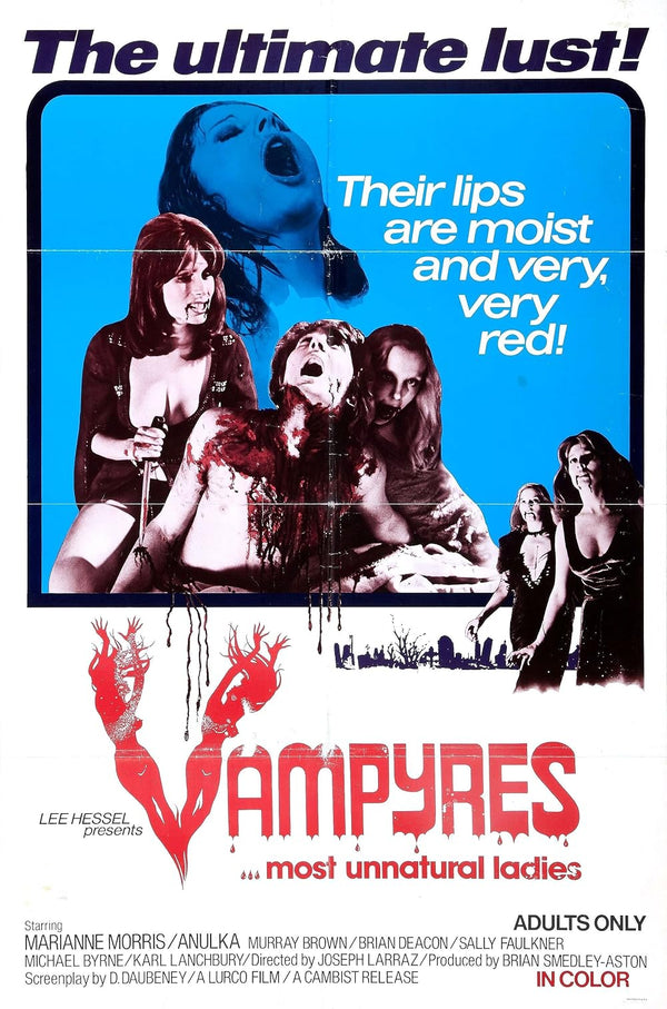 Daughters of Darkness (1974) - A Haunting Drama-Fantasy-Horror Film Movie Poster | Film Wall Art Print