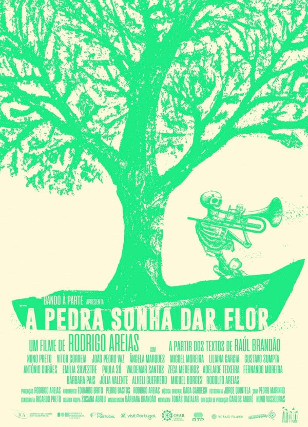 A Pedra Sonha Dar Flor (2024) – Emotional Drama Film - Premium Movie Poster