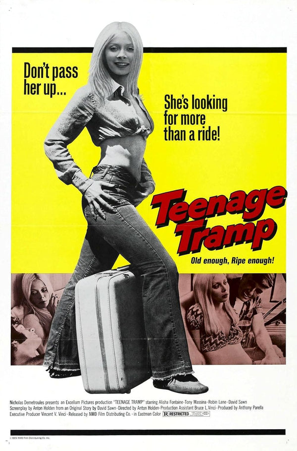 Teenage Hitchhikers (1973) Movie Poster - High Quality Print Movie Poster | Film Wall Art Print