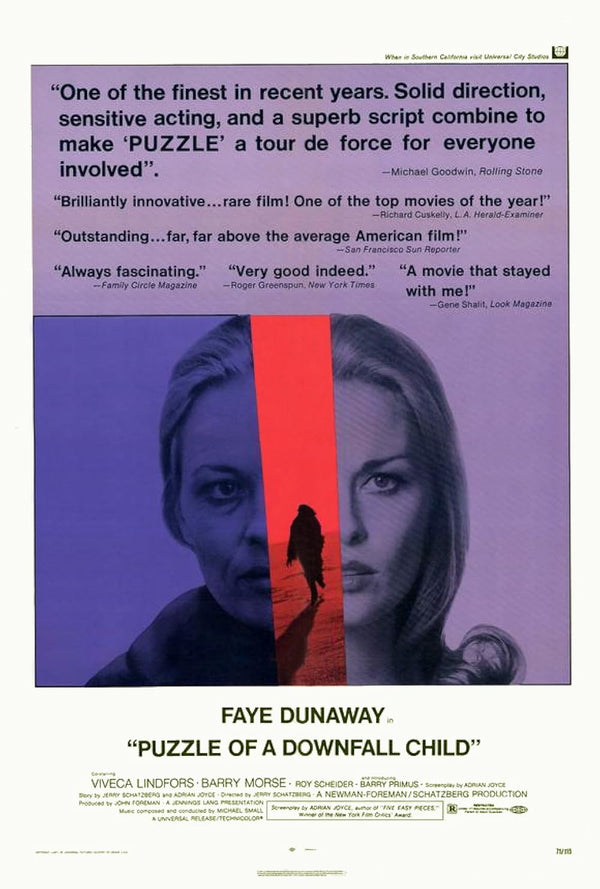 Puzzle of a Downfall Child (1970) Classic Drama Poster Movie Poster | Film Wall Art Print