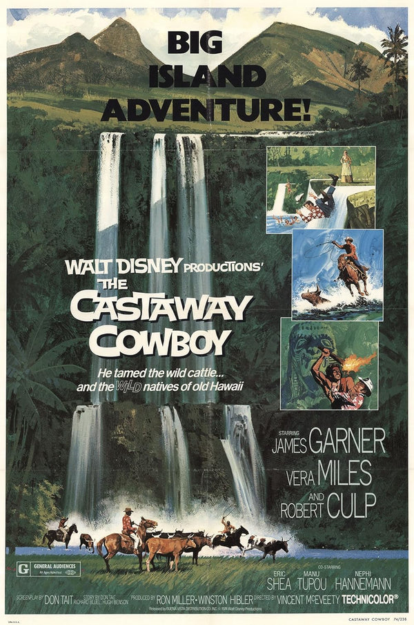 Castaway Cowboy (1974) Movie Poster - High Quality Print Movie Poster | Film Wall Art Print