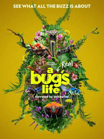 A Real Bug's Life Movie Poster - Animated Adventure Film Movie Poster | Film Wall Art Print