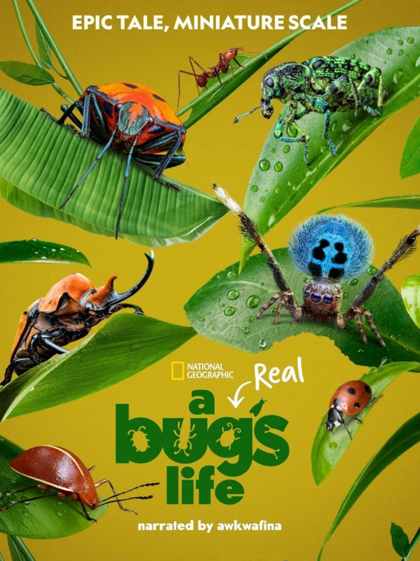 A Real Bug's Life Movie Poster - Official Artwork & Design Movie Poster | Film Wall Art Print