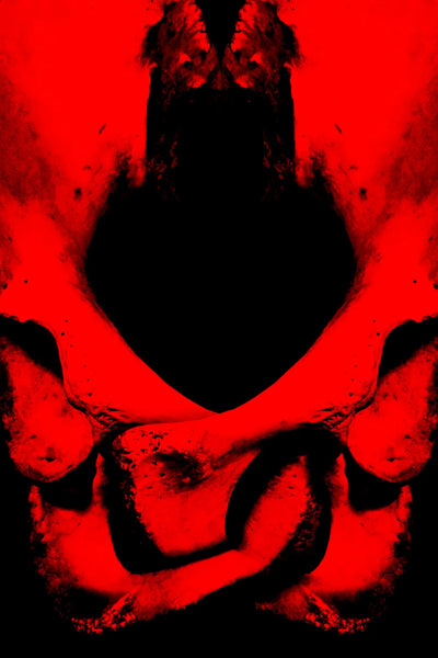 Bring Home the Dark Romance of 'Bones and All (2022)' - Premium Movie Poster