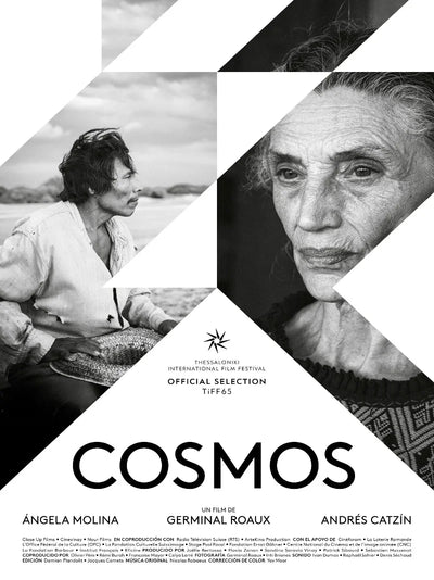 Cosmos Movie Poster - Space Epic Film Artwork Movie Poster | Film Wall Art Print