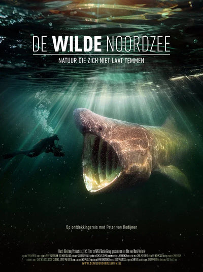 De Wilde Noordzee Movie Poster - Dutch Film Art Print Movie Poster | Film Wall Art Print
