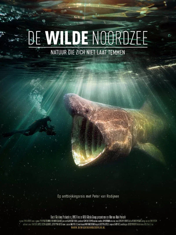 De Wilde Noordzee Movie Poster - Dutch Film Art Print Movie Poster | Film Wall Art Print