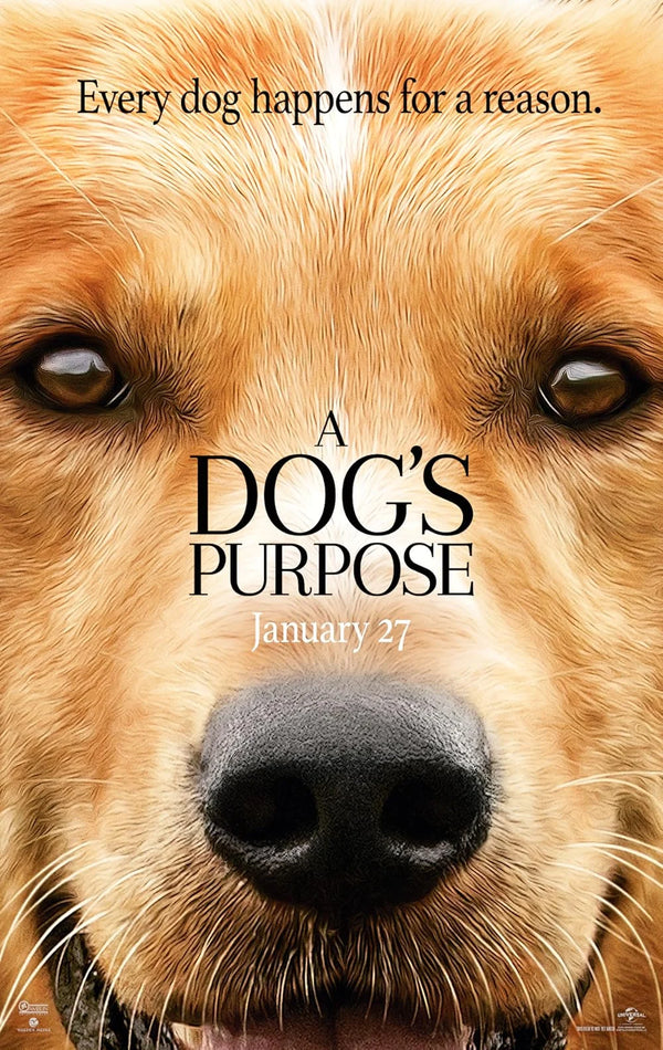 A Dog's Purpose (2017) Adventure Comedy Drama Movie Poster | Film Wall Art Print