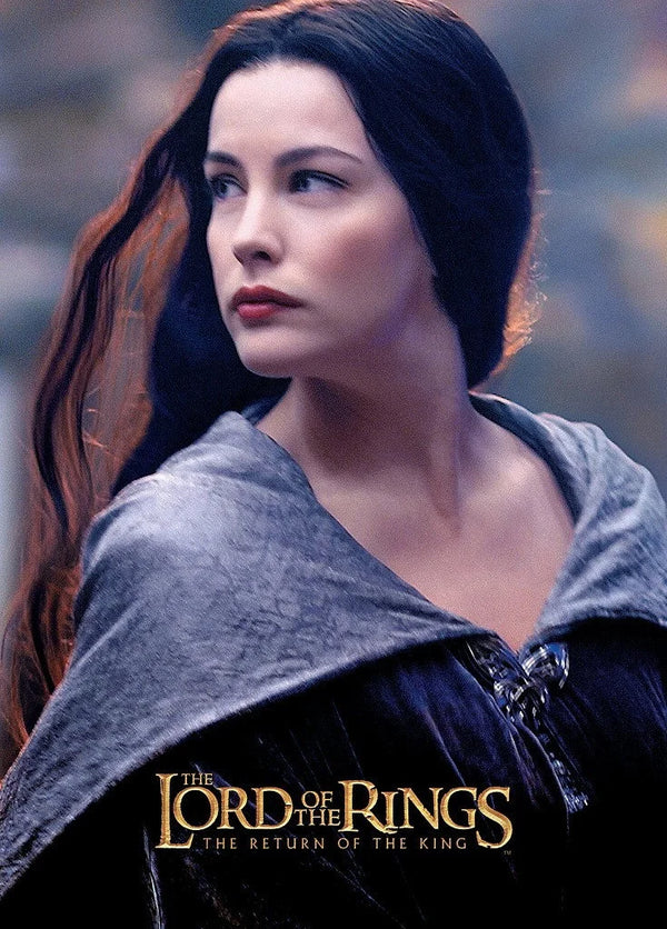 Epic Journey Embodied: The Lord of the Rings: The Return of the King (2003) Wall Art - Premium Movie Poster