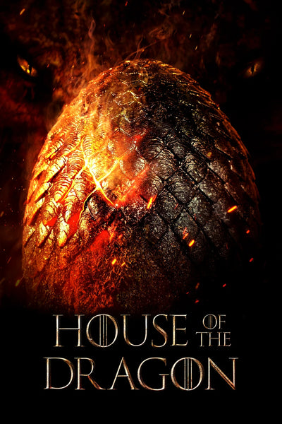 Epic Targaryen War: House of the Dragon (2022) Poster - TV Series Poster