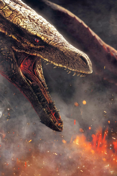 Epic Targaryen War: House of the Dragon (2022) Wall Decor - TV Series Poster
