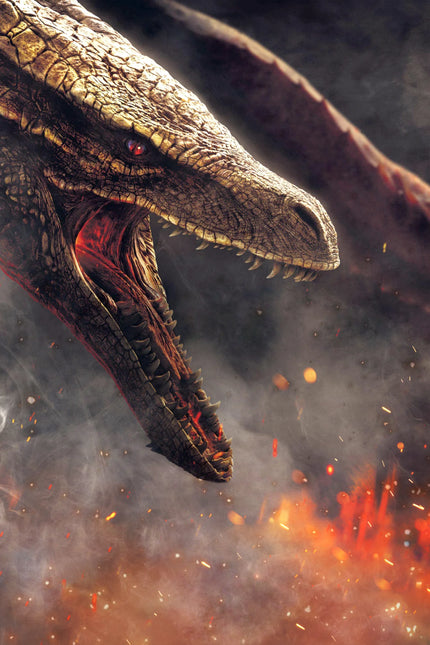 Epic Targaryen War: House of the Dragon (2022) Wall Decor - TV Series Poster