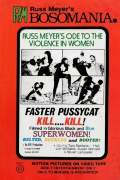 Faster, Pussycat! Kill! Kill! (1965) – Own the Cult Classic Vibe - Premium Movie Poster