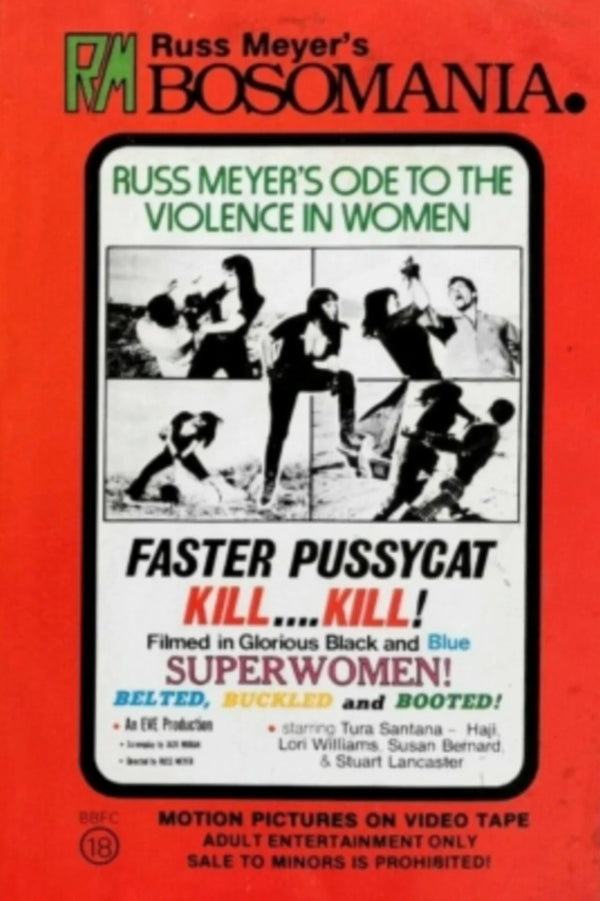 Faster, Pussycat! Kill! Kill! (1965) – Own the Cult Classic Vibe - Premium Movie Poster