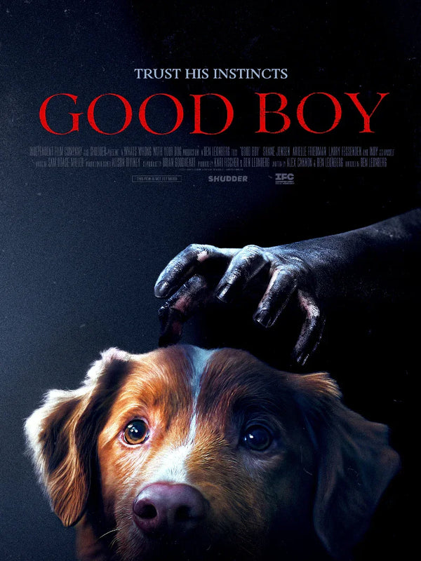 Good Boy Movie Poster - Comedy Film Artwork & Design Movie Poster | Film Wall Art Print
