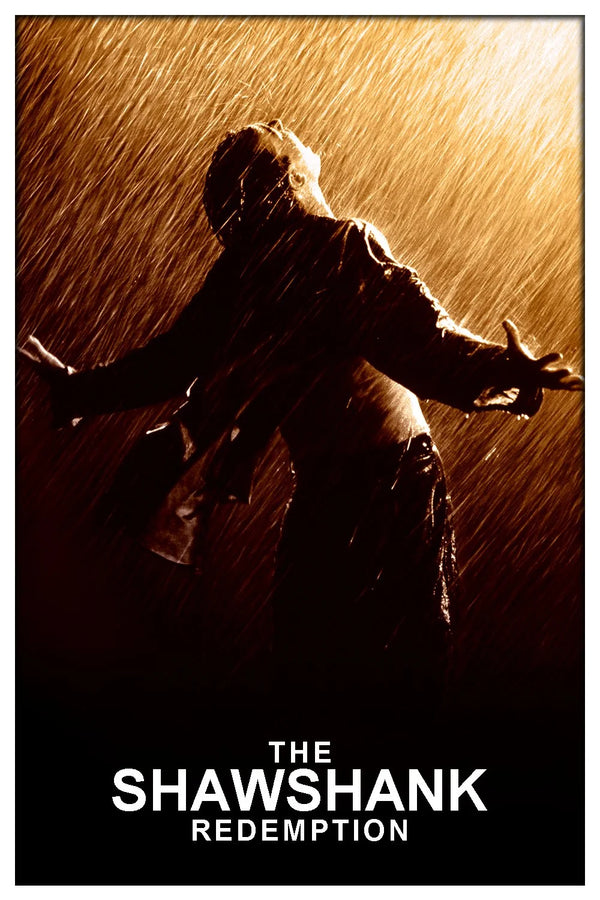 Iconic Shawshank (1994) Poster – 9.3/10 Hope & Friendship Art - Premium Movie Poster