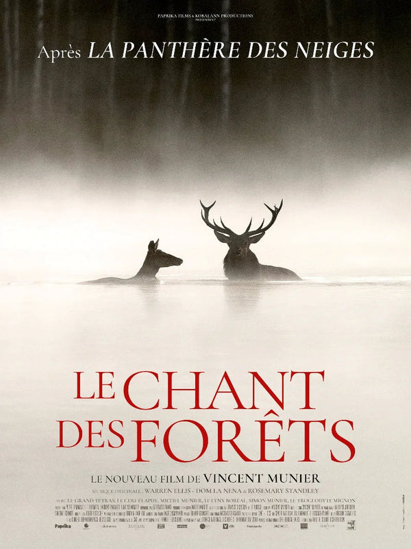 Le Chant des Forêts Movie Poster | French Film Art Print Movie Poster | Film Wall Art Print