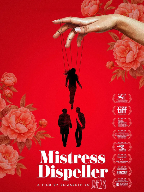 Mistres Dispeller Movie Poster - Fantasy Adventure Film Art Movie Poster | Film Wall Art Print
