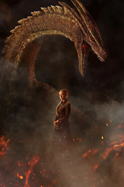 Own the Fury: House of the Dragon (2022) Wall Art - TV Series Poster