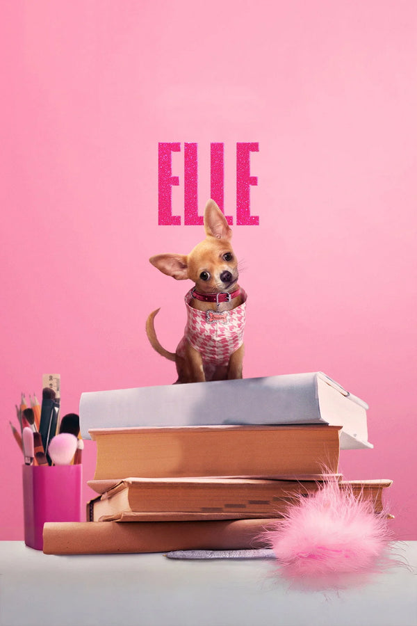 Own the Magic of Elle(2026) – Comedy Wall Art - TV Series Poster
