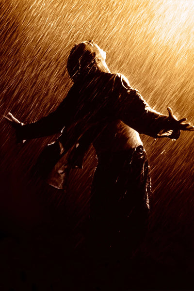 Own the Timeless Spirit of 'The Shawshank Redemption (1994)' in Stunning Wall Art - Premium Movie Poster