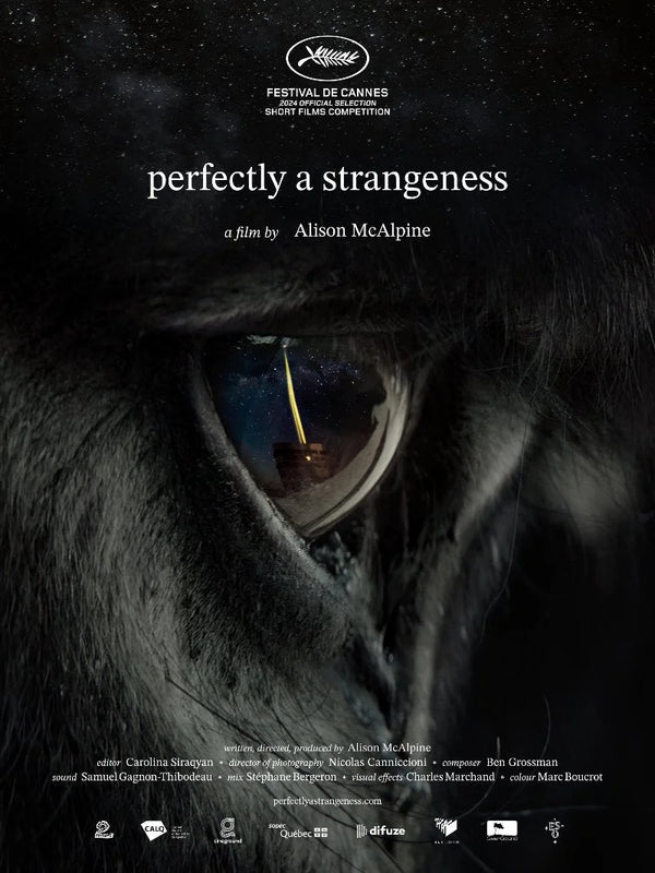 Perfectly a Strangeness Movie Poster - Art Print & Wall Decor Movie Poster | Film Wall Art Print
