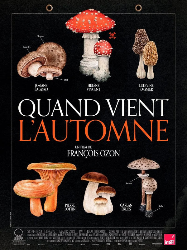 Quand vient l'automne - Movie Poster | Autumn Film Art Movie Poster | Film Wall Art Print