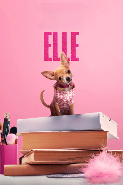 Relive Elle's High School Journey in Stunning Wall Art (2026) - TV Series Poster